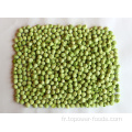 Pea vert séché en gros de haute qualité de haute qualité